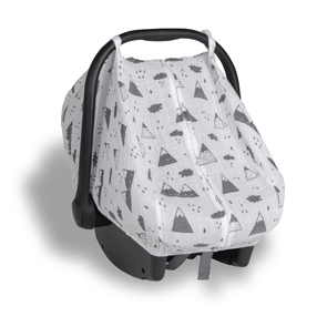 Car Seat Cover
